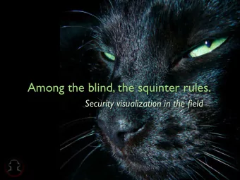 Among the blind, the squinter rules.  Security visualization in the field  About me  Wim Remes