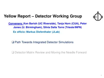 Yellow Report  Detector Working Group  Conveners: Ken Barish (UC Riverside), Tanja Horn (CUA),