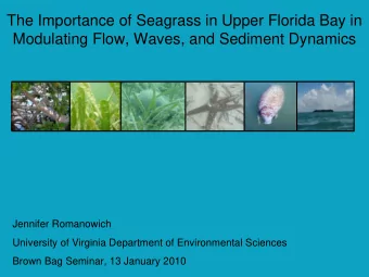 The Importance of Seagrass in Upper Florida Bay in  Modulating Flow, Waves, and Sediment Dynamics