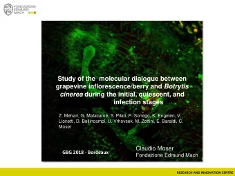 grapevine inflorescence/berry and Botrytis cinerea during the initial, quiescent, and egression