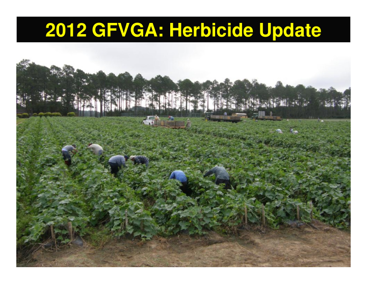 2012 gfvga herbicide update 2012 weed control update