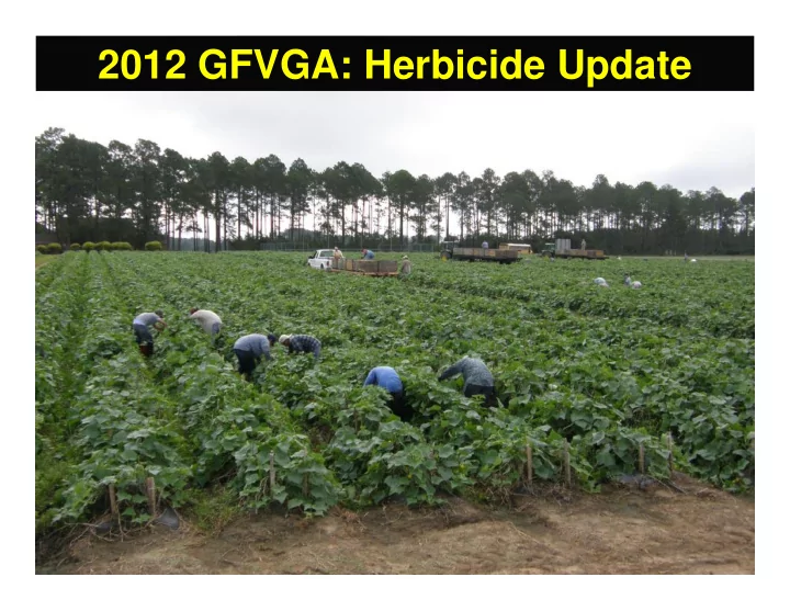 2012 gfvga herbicide update 2012 weed control update