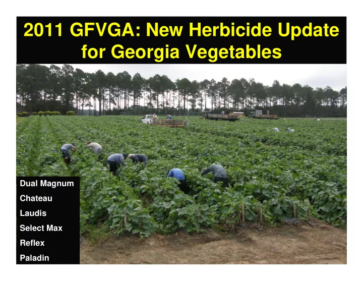 2011 gfvga new herbicide update for georgia vegetables