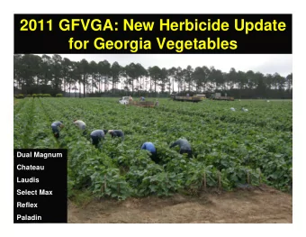 2011 GFVGA: New Herbicide Update  for Georgia Vegetables  Dual Magnum  Chateau  Laudis  Select Max