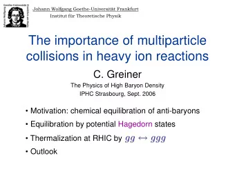 The importance of multiparticle  collisions in heavy ion reactions  C. Greiner  The Physics of High