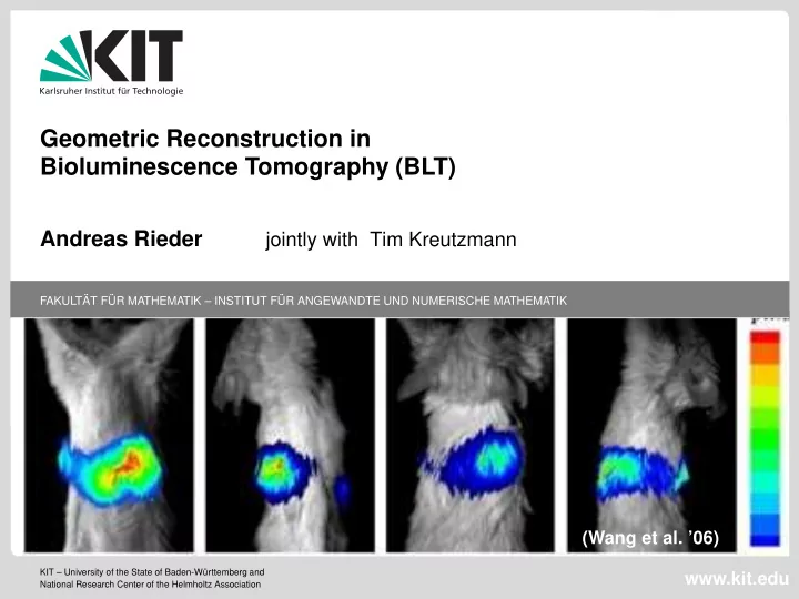 geometric reconstruction in bioluminescence tomography blt