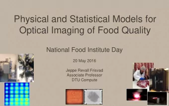Physical and Statistical Models for  Optical Imaging of Food Quality  National Food Institute Day