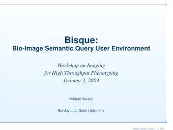 Bisque:  Bio-Image Semantic Query User Environment  Workshop on Imaging  for High Throughput