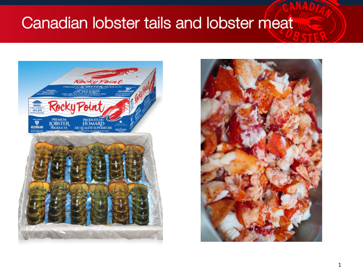 ca canadian l lobst ster t tails a s and l lobst ster m