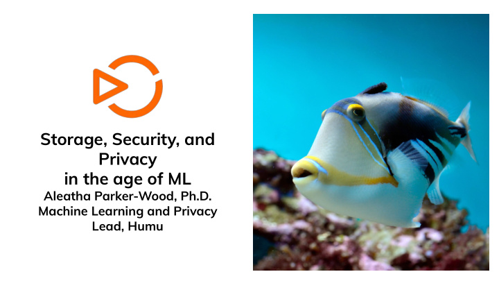 storage security and privacy in the age of ml