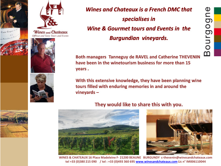 burgundian vineyards