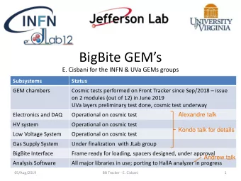 BigBite GEMs  E. Cisbani for the INFN &amp; UVa GEMs groups Subsystems Status GEM chambers