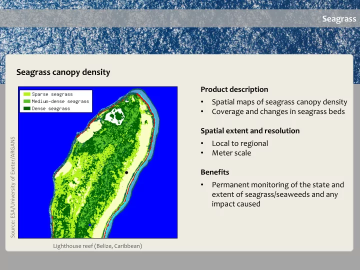 seagrass seagrass canopy density