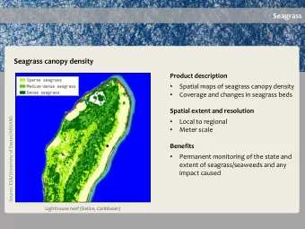 Seagrass  Seagrass canopy density  Product description    Spatial maps of seagrass canopy