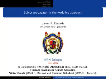 Spinor propagator in the worldline approach  James P. Edwards ifm.umich.mx/  jedwards  INFN