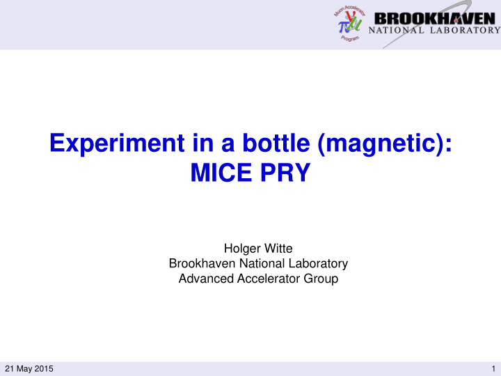 experiment in a bottle magnetic mice pry