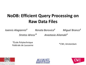 NoDB: Efficient Query Processing on  Raw Data Files Ioannis Alagiannis  Renata Borovica
