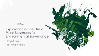 Exploration of the Use of  Plant Biosensors for  Environmental Surveillance  Jerlyn Chua  T  an