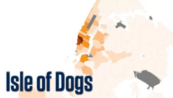 Isle of Dogs  SMALL MULTIPLES  FOR MAPS head (opiates)  ## # A tibble: 6 x 10  ##    Year