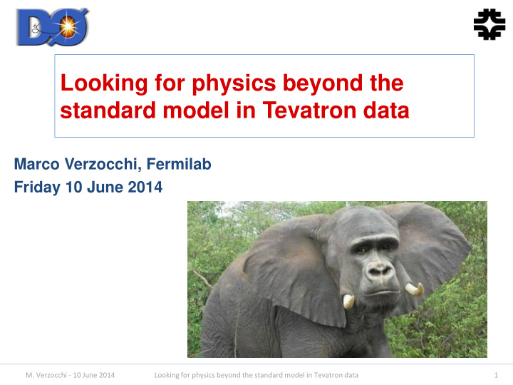 standard model in tevatron data