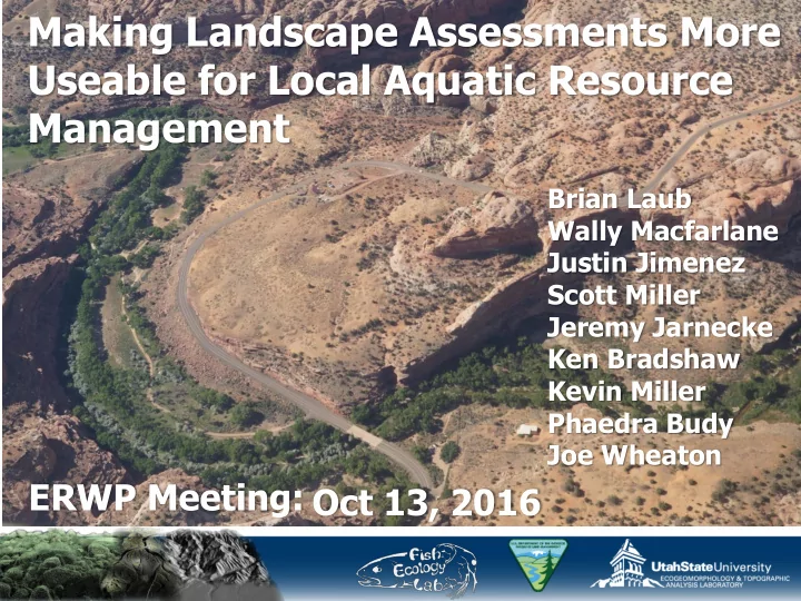 making landscape assessments more useable for local