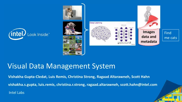 visual data management system
