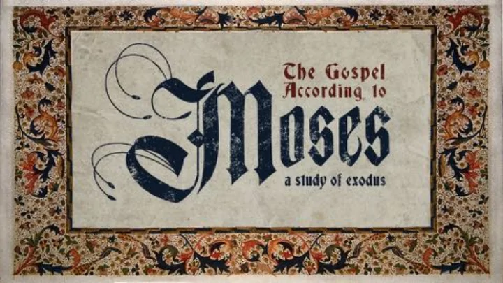 what is god really up to in the book of exodus what is