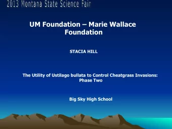 UM Foundation  Marie Wallace  Foundation  STACIA HILL  The Utility of Ustilago bullata to