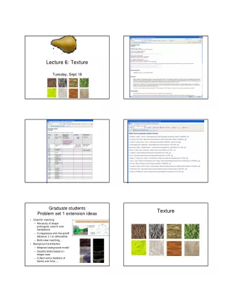 Lecture 6: Texture  Tuesday, Sept 18  Graduate students  Texture  Problem set 1 extension ideas