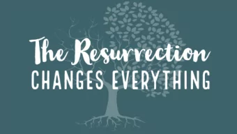 On the evening of that first day of the week, when the  disciples were together, with the doors