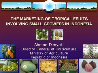 Ahmad Dimyati  Director General of Horticulture  Ministry of Agriculture  Republic of Indonesia