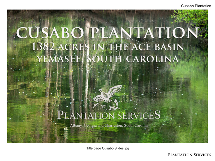 plantation services cusabo plantation
