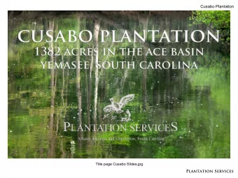 Plantation Services  Cusabo Plantation  Title page Cusabo Slides.jpg  Plantation Services  Cusabo