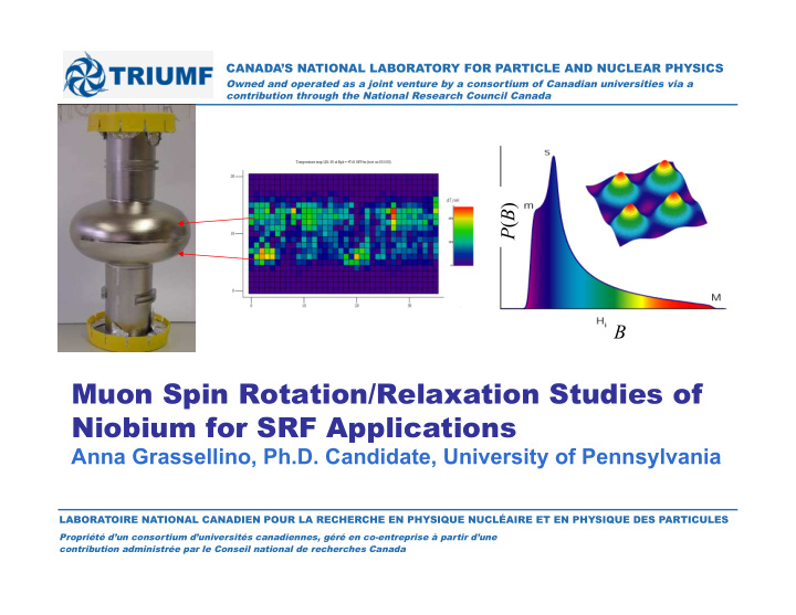 muon spin rotation relaxation studies of