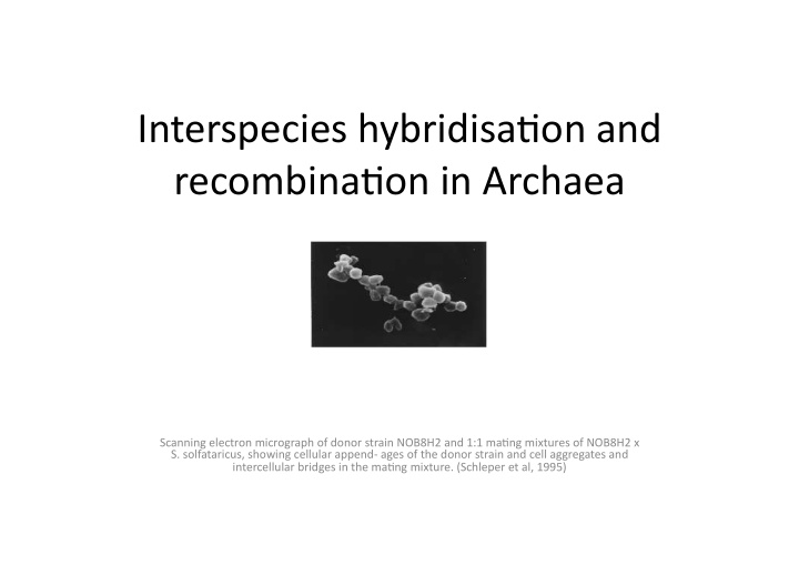 interspecies hybridisa0on and recombina0on in archaea