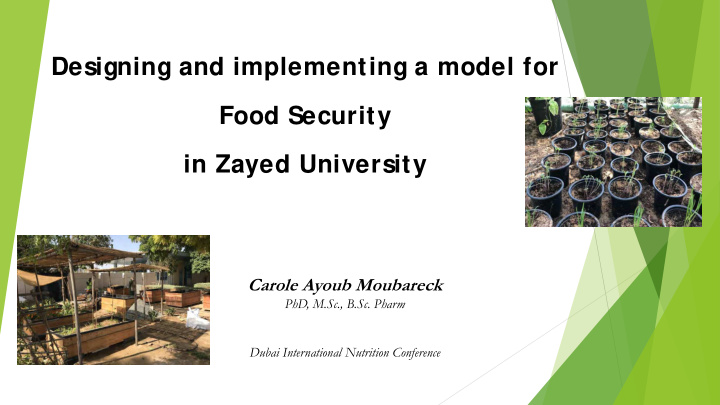 designing and implementing a model for food security in