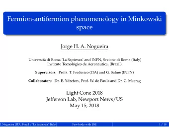Fermion-antifermion phenomenology in Minkowski  space  Jorge H. A. Nogueira  Universit di Roma