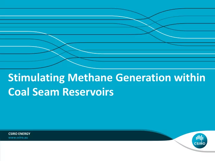 coal seam reservoirs