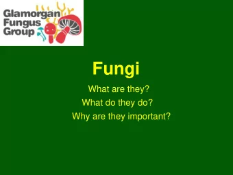 Fungi What are they?  What do they do? Why are they important?  Taxonomy  Three domains of life