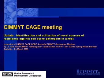 CIMMYT CAGE meeting  CIMMYT CAGE meeting Update : Identification and utilization of novel sources
