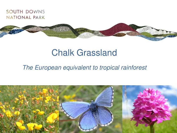 chalk grassland