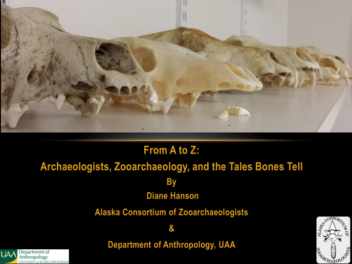 bone head archaeology
