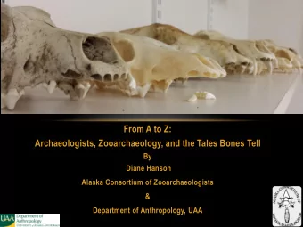 BONE HEAD ARCHAEOLOGY  From A to Z:  Archaeologists, Zooarchaeology, and the Tales Bones Tell  By