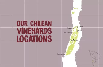 loca  tions  Santa Cruz  Concepcin Aconcagua Valley 846 Ha.  Pacific Ocean  The topography