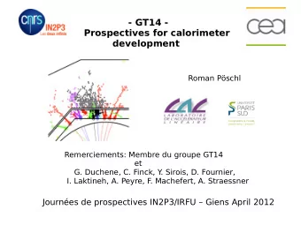 - GT14 -  Prospectives for calorimeter  development  Roman Pschl  Remerciements: Membre du groupe