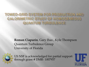 Quantum Turbulence Group  University of Florida  US NSF is acknowledged for partial support