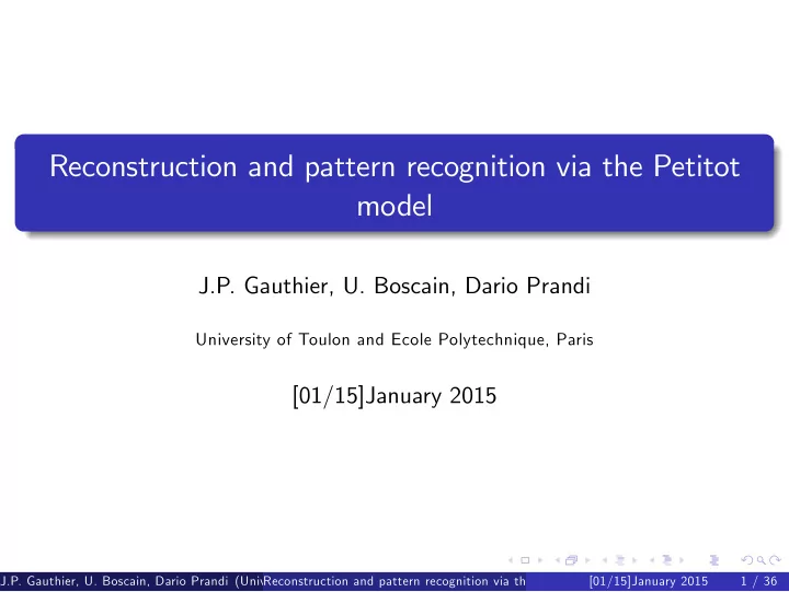 reconstruction and pattern recognition via the petitot