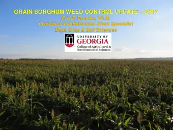GRAIN SORGHUM WEED CONTROL UPDATE  2017  Eric P. Prostko, Ph.D.  Professor and Extension Weed