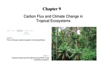 Chapter 9  Carbon Flux and Climate Change in  Tropical Ecosystems  FIGURE 9-1  This is the basic