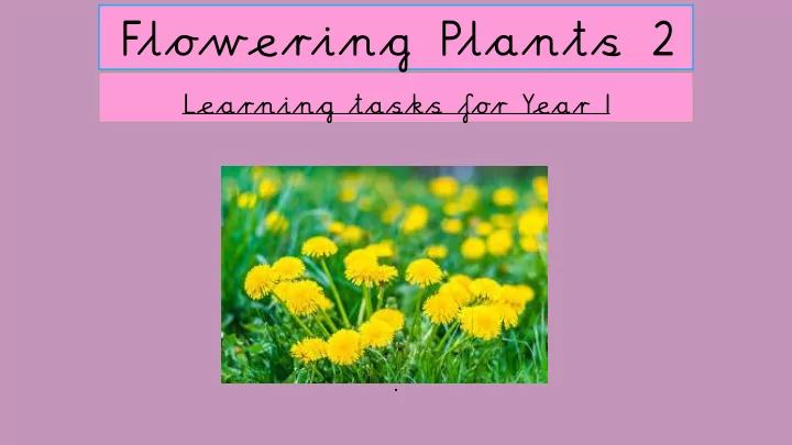flowering plants 2